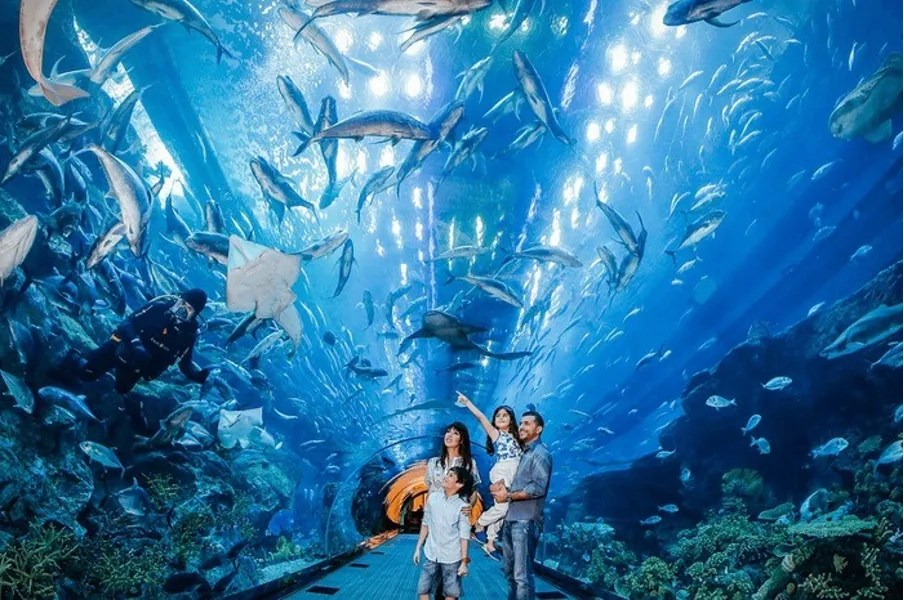 Thủy cung Times City hiện bán vé các show diễn nào?