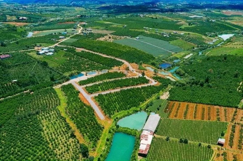 Đất nền Bảo Lộc và những điều cần biết trước khi xuống tiền đầu tư