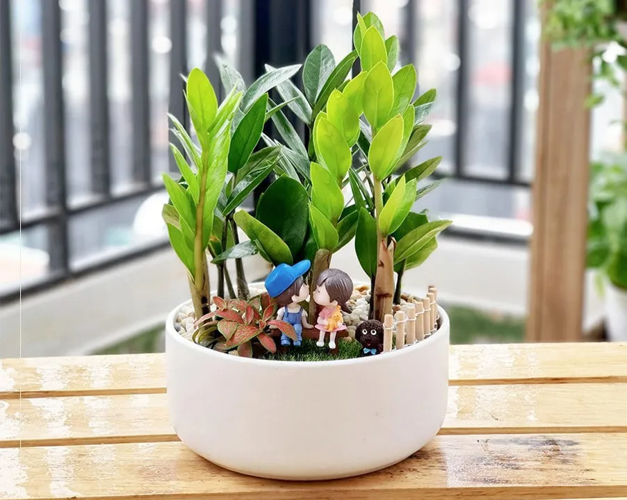 Ý nghĩa 5 loại cây cảnh phong thủy phù hợp trồng trong các căn hộ chung cư