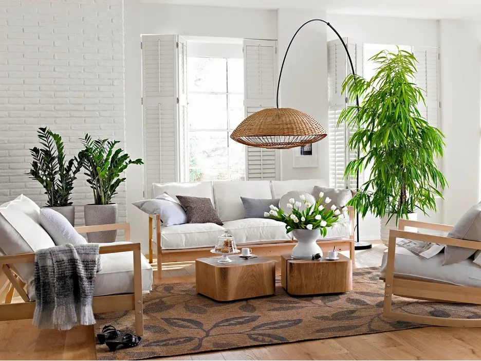Vị trí đặt cây phong thủy cho căn hộ chung cư: Những điều cần biết