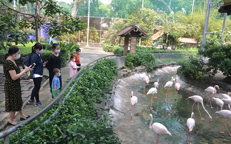 Top 3 công viên tại quận 1 - Địa điểm tham quan lý tưởng cho trẻ trong dịp hè