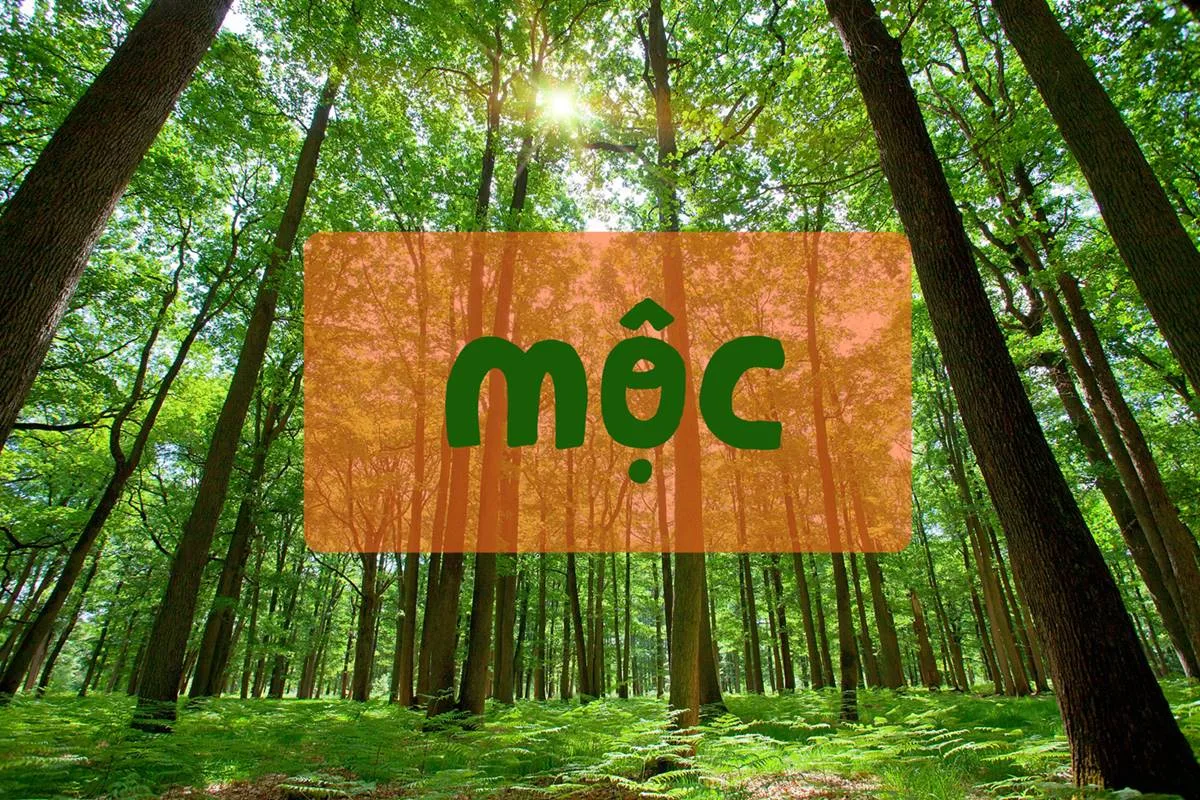 Gợi ý cách bố trí phong thuỷ phòng ngủ cho người mệnh Mộc