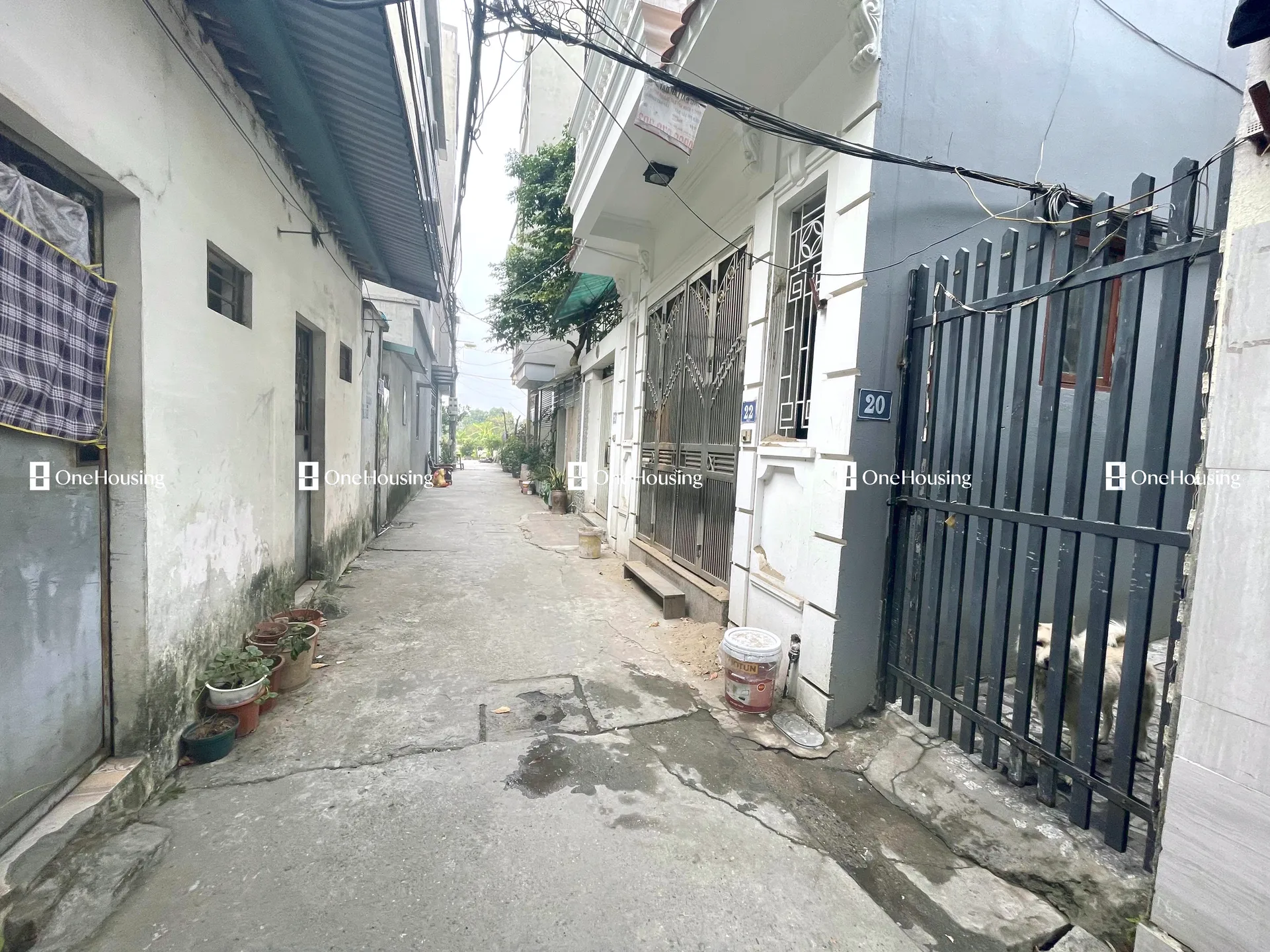 Onehousing image