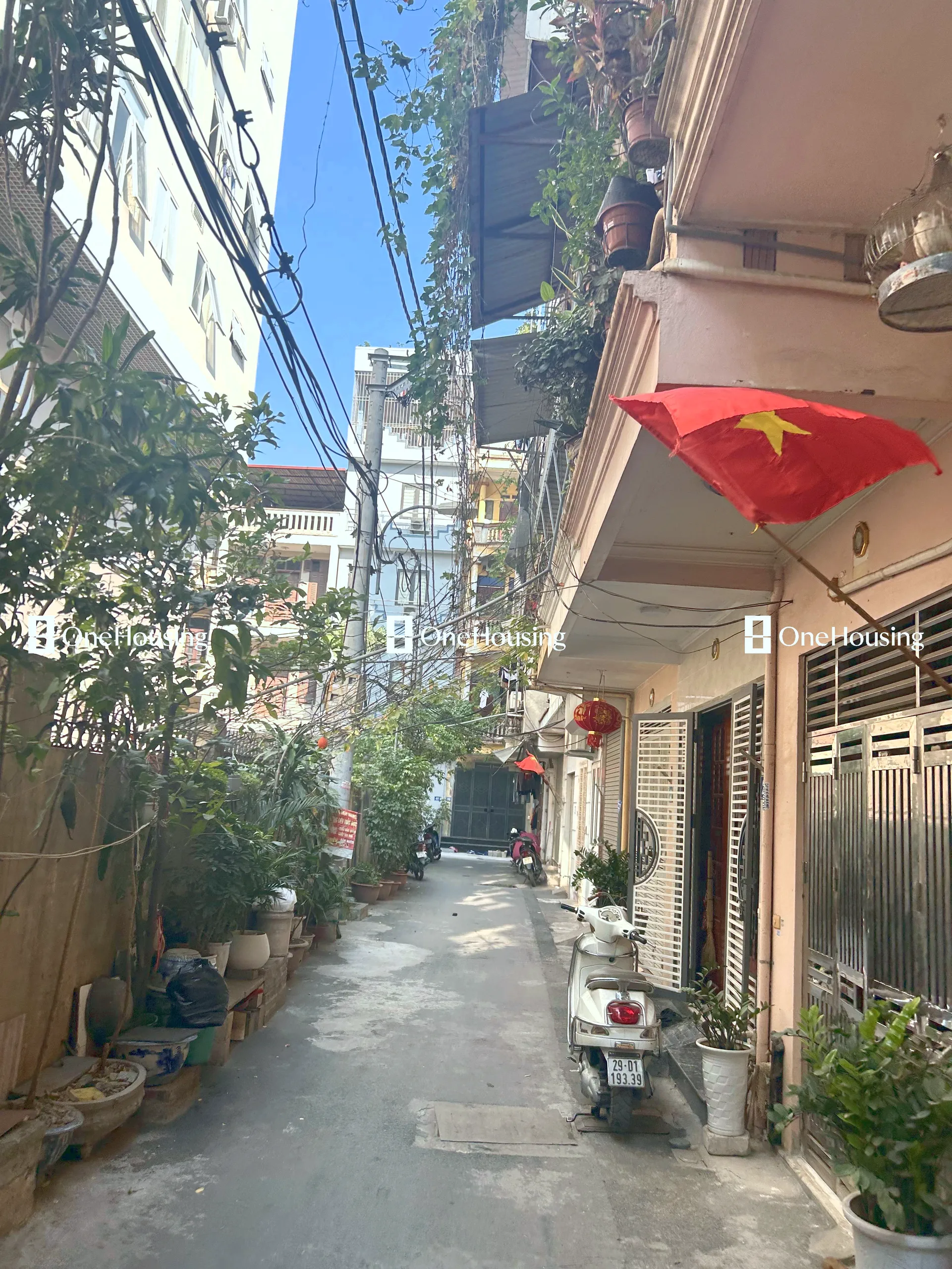 Onehousing image