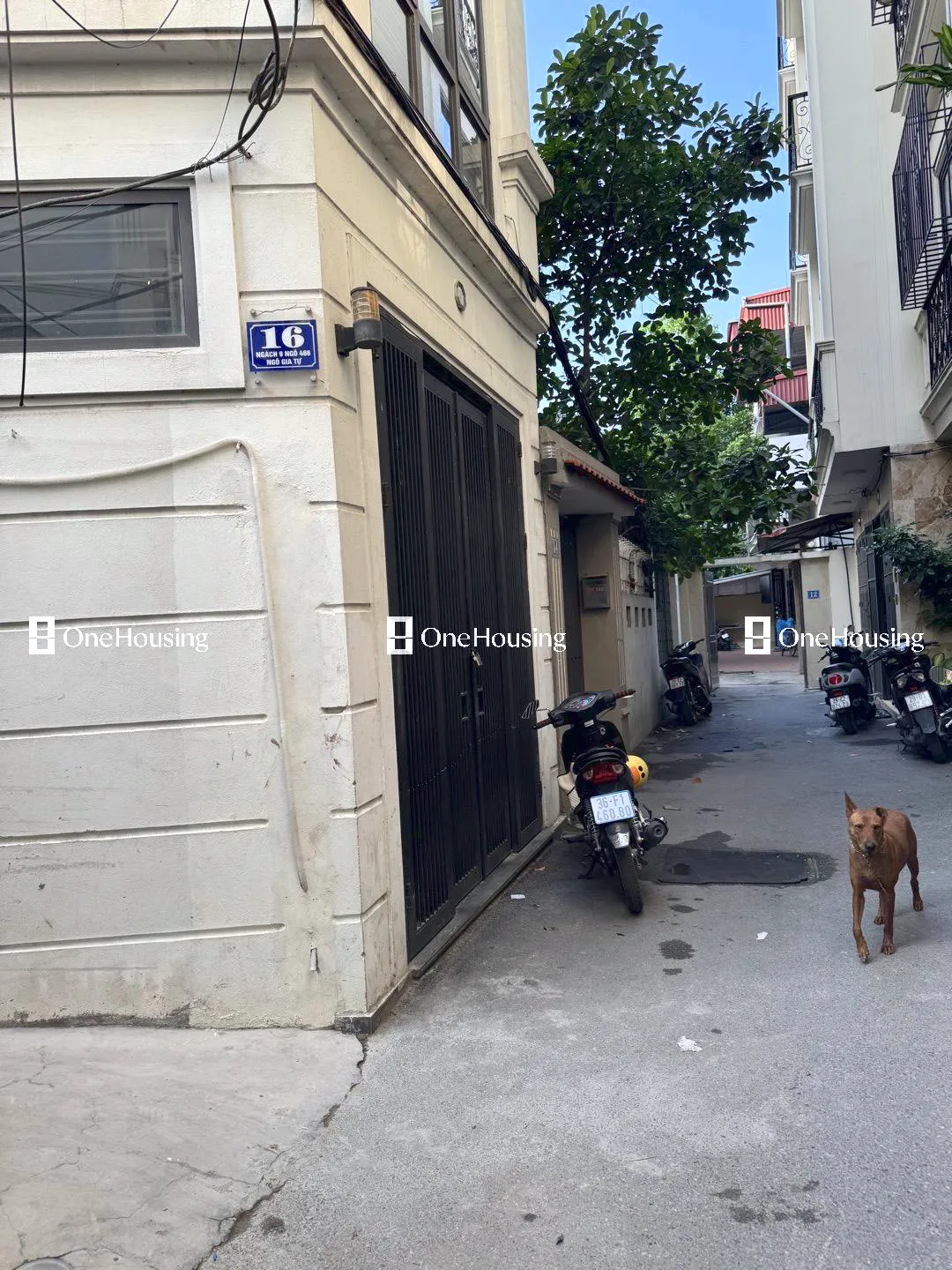 Onehousing image