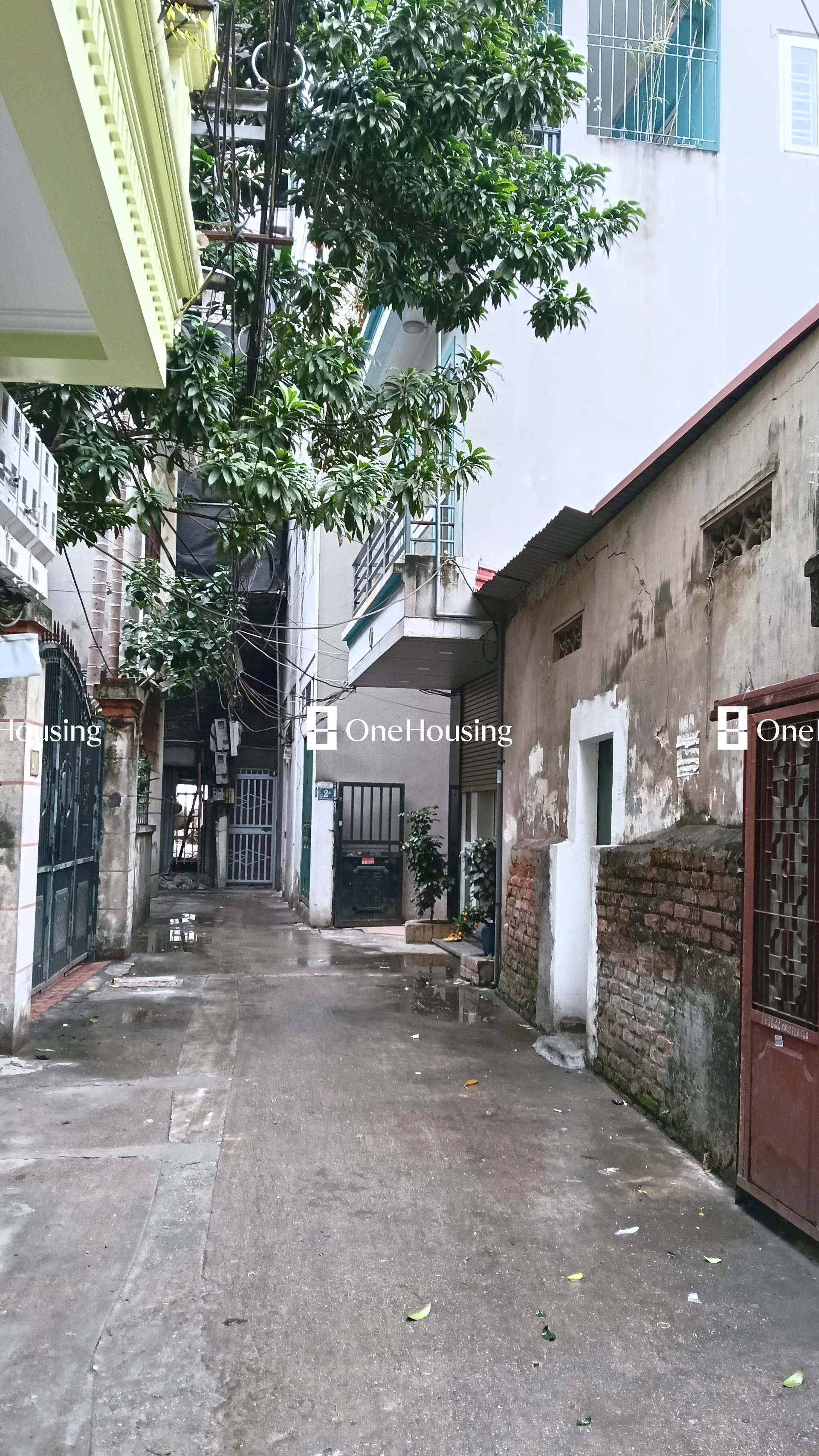 Đất nền cách Bùi Xương Trạch 100m, P. Khương Đình, Q. Thanh Xuân, TP. Hà Nội