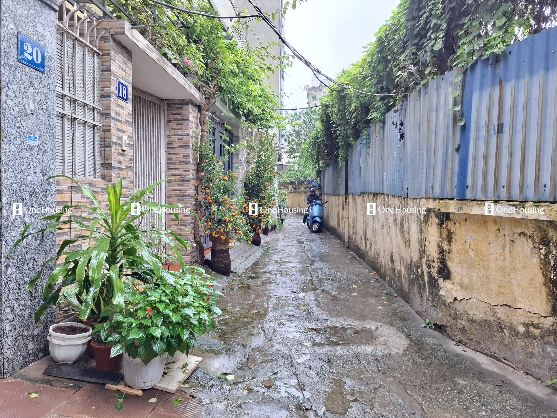 Nhà mặt ngõ cách Trường Chinh 30m, P. Phương Liệt, Q. Thanh Xuân, TP. Hà Nội