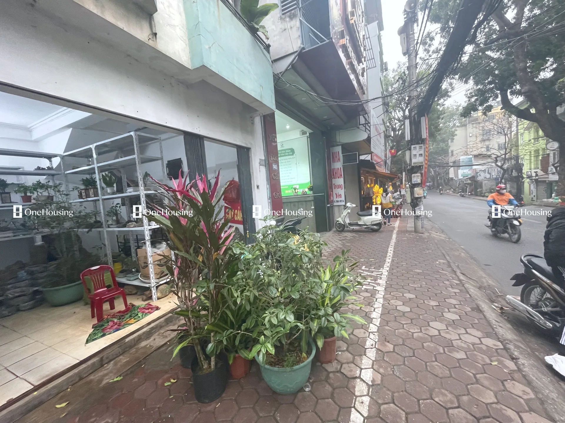 Nhà mặt phố Hoàng Hoa Thám, P. Vĩnh Phúc, Q. Ba Đình, TP. Hà Nội