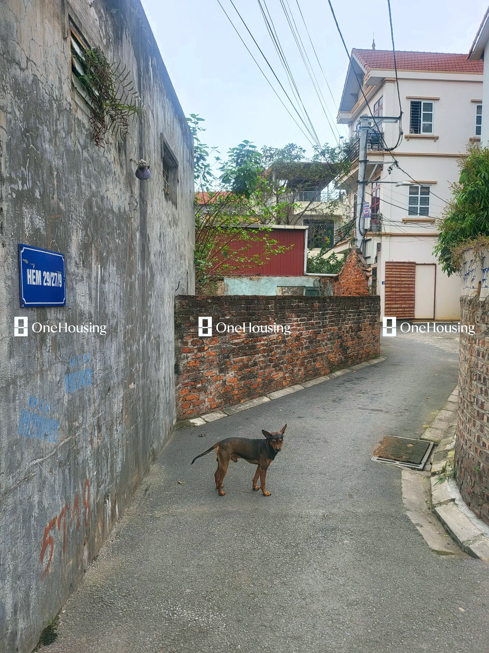Onehousing image
