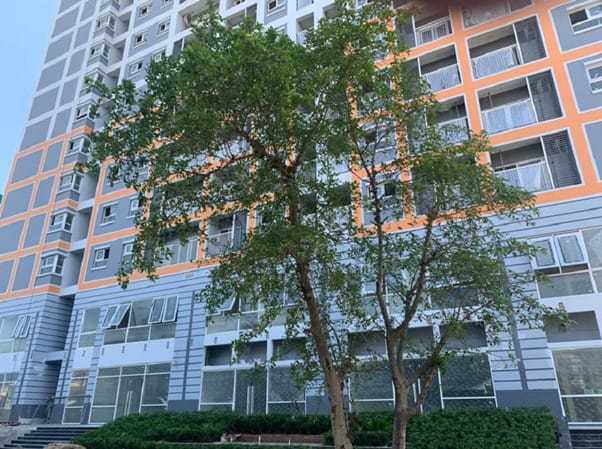 Diện tích căn hộ chung cư Carillon 7 quận Tân Phú là bao nhiêu m2?
