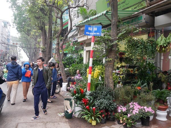 Địa điểm tiến hành thủ tục nhập khẩu với hộ gia đình mua nhà đất tại phố Hoàng Hoa Thám, phường Liễu Giai, quận Ba Đình