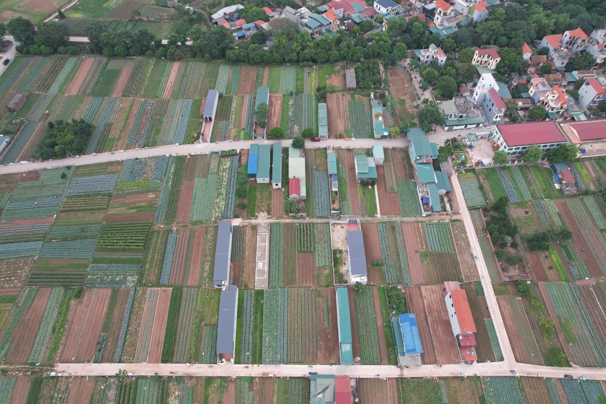 Nhà đất tại xã Vân Côn, huyện Hoài Đức có giá bán bao nhiêu? 