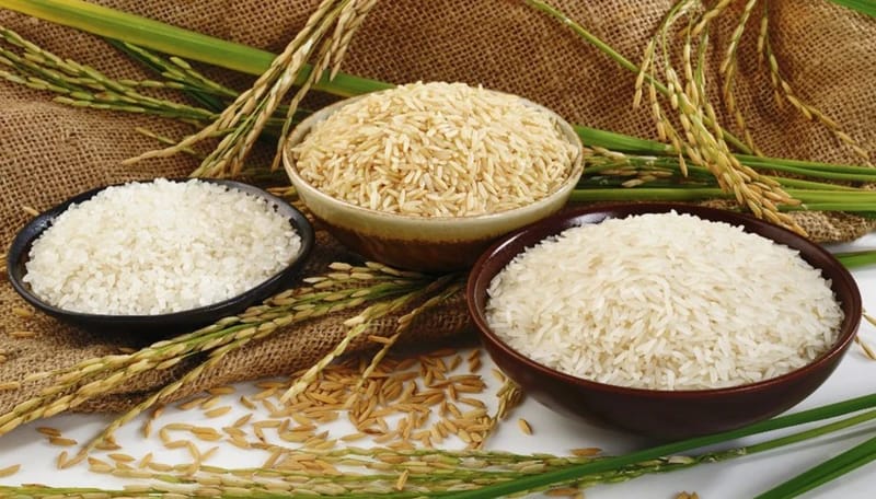 Rủi ro nào có thể gặp phải khi đầu tư vào lúa gạo?