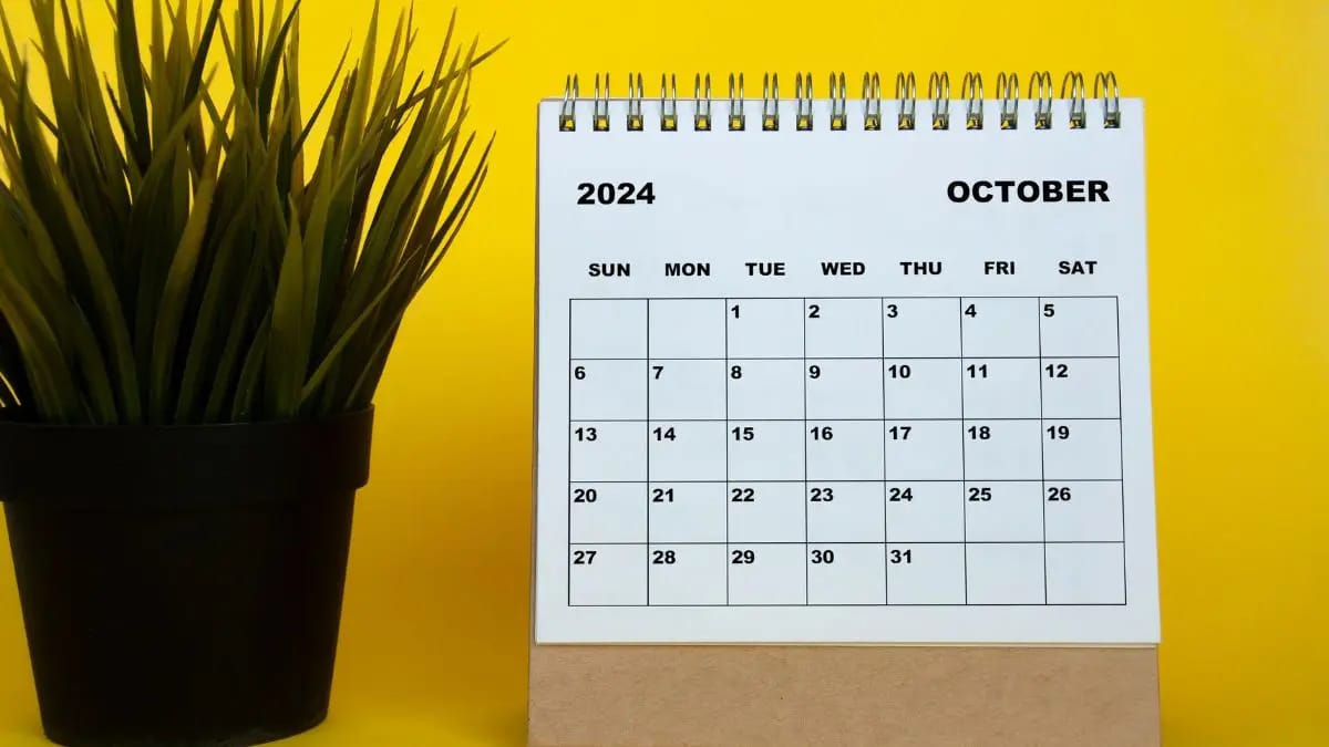Ngày tốt tháng 10 năm 2024 để làm mọi việc thuận lợi, suôn sẻ cho người sinh năm 1989 Kỷ Tỵ