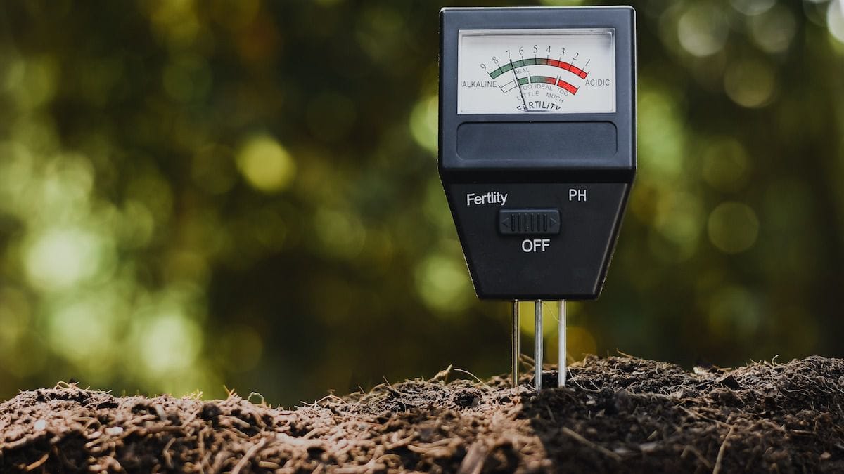 Tại sao cần phải kiểm tra độ pH của đất trồng cây cảnh trong nhà?