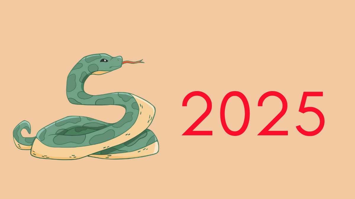 Hóa giải hạn năm tuổi cho người Kỷ Tỵ năm 2025 như thế nào?