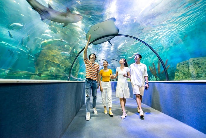 Vinpearl Aquarium - Thủy cung trong Vincom Times City có bao nhiêu phân khu?